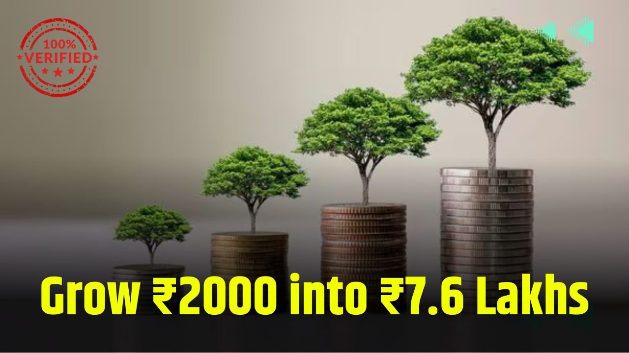 Best Mutual Fund Plan: Grow ₹2000 into ₹7.6 Lakhs Without High Risk 5 Best Mutual Fund Plan